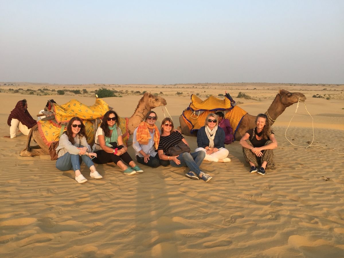 Camel Safari